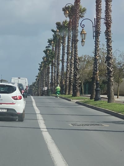 The image depicts a multi-lane city boulevard in Salé, Morocco, under an overcast sky. In the foreground, the rear of a white Renault Clio hatchback is visible in the left lane, partially obscuring a white commercial van behind it. The asphalt road features a prominent, worn white solid line delineating a lane. A metal utility cover is visible further down the road surface.

To the right of the road, a manicured grass verge borders the pavement. Beyond the verge, a lengthy row of tall palm trees with visible, textured trunks lines the boulevard. Ornate black streetlights with decorative scrolls and dual gold-colored lanterns are spaced between the palm trees. A lone individual, dressed in a bright green uniform with a high-visibility yellow-green vest, stands on the grass verge or adjacent sidewalk, facing generally away from the camera. A dark green cylindrical trash receptacle is positioned near this individual. In the mid-distance on the left side of the road, a triangular warning sign is visible. Vehicles are present in a line, suggesting traffic flow.