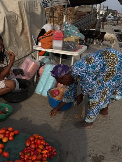 This image displays an outdoor market scene in Badore, Nigeria. In the foreground, a collection of red tomatoes and various red chili peppers are arranged on a dark surface. To the left, a woman with braided hair is seated, consuming a light-colored food item from her hand, adjacent to a black basin. In the center, an older woman wearing a blue, yellow, and white patterned dress and a purple headwrap is barefoot and bent over, using her right hand to collect scattered light-colored grains from the ground. A blue basin filled with similar grains, containing a red tin can, is positioned nearby. Behind them, a white plastic table, situated under a light-colored tarp, holds an orange bag, plastic food containers, and other packaged goods. In the middle ground, four sheep or goats (three dark-colored, one white) stand beside a street featuring stacks of rebar and wood planks. Distant vehicles are visible on the street. A banner displaying "Dangote Cement" and "PalmPay" logos hangs above the stall area. The ground surface appears to be concrete or packed earth.