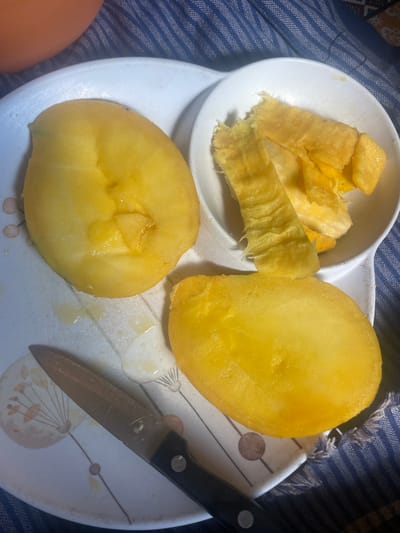 A high-angle forensic shot captures a domestic scene featuring cut and prepared mangoes on ceramic dinnerware. In the center, two halves of a ripe, yellow mango rest on a white plate with a subtle, stylized floral pattern in earthy tones. One mango half, positioned top-left, reveals the exposed fibrous pit area and a glistening, juicy interior. The other half, bottom-right, appears to be the peeled flesh of a mango. Adjacent to the top-right mango, a small white ceramic bowl contains remnants of mango peel and fibrous flesh, indicating a peeling process. A small utility knife, featuring a silver-colored blade and a black handle with two visible rivets, lies horizontally across the lower left portion of the plate, its blade displaying some liquid residue. Drops of clear, yellowish mango juice are visible on the patterned surface of the plate. The background consists of a blue and white striped fabric, possibly a tablecloth or napkin, which occupies the upper right and lower right sections of the frame, showing some frayed edges. A portion of a solid orange-brown object, likely a container or bowl, is visible in the upper left corner. No individuals are present in the image. The environment suggests an indoor setting, likely a kitchen or dining area. The image provides no discernible visual cues to specifically identify the location as Bhagsu, India.