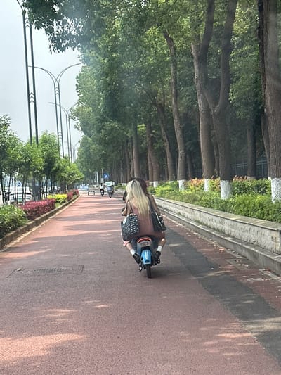 The image depicts an outdoor scene on a clear day, likely in the Chongqing High-tech Zone, China. In the foreground, a two-person electric scooter is observed from the rear, traveling on a reddish-brown asphalt path. The person in the passenger position has long, light blonde hair and is wearing a light brown or pink top, with a patterned black shoulder bag resting on their left arm. The driver is mostly obscured. The path extends into the distance, with dappled shadows indicating overhead tree cover.

To the left of the path, a concrete curb separates the path from a landscaped area featuring rows of green bushes and small trees. Beyond this, a wider road is visible with several parked cars. Distinctive streetlights with multiple curved arms line the left side of the scene. Further down the path, another individual on an electric tricycle or scooter is visible, along with a blue road sign displaying a white arrow.

To the right of the path, a low concrete wall or barrier runs parallel, behind which a dense line of tall, mature trees with thick trunks stands. The lower portions of these tree trunks are painted white. Green undergrowth and bushes are present at the base of these trees. The background shows a hazy or overcast sky.