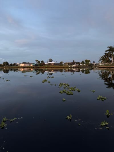This is a wide-angle, horizontal shot of a still canal in North Port, Florida, United States of America, likely taken at dusk or dawn. The sky is a muted blue with wispy, pale pink clouds, reflecting softly on the dark, glassy water. Along the far bank, a line of single-story houses with tiled roofs are visible, some with their lights on, interspersed with palm trees and other vegetation. Several houses have boats docked in front of them. The reflections of the houses, trees, and sky are clearly visible in the water, creating a symmetrical effect. Scattered across the surface of the canal are clusters of green aquatic plants. The overall scene conveys a sense of tranquility and suburban waterfront living.
