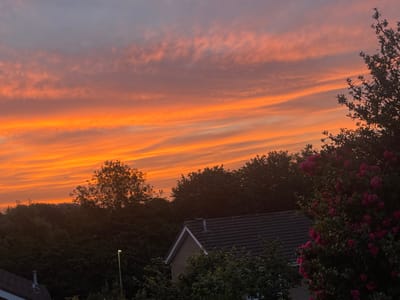 The image captures a vibrant sunset over a suburban area in Maidstone, United Kingdom. The sky is ablaze with hues of orange and pink, with wispy clouds streaking across the horizon. In the foreground, the dark silhouettes of trees and foliage dominate the lower part of the frame. A pitched roof of a building is visible, with a chimney. To the right, a dense bush with dark pink flowers adds a touch of color. A single streetlamp stands amidst the trees, its light emitting a soft glow. The overall scene is one of natural beauty juxtaposed with human habitation.