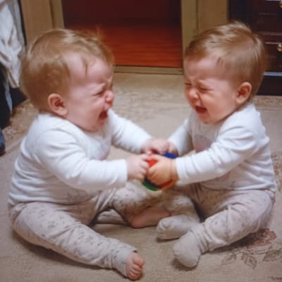 Two babies are sitting on a carpet and crying, as they are fighting over a toy. The babies are wearing white long-sleeved shirts and light-colored pajamas with a subtle pattern. The baby on the left is closer to the camera and is reaching for the toy with its right hand, while its left hand is also grabbing at the toy. The baby on the right is further away and also has its hands on the toy. Both babies have blonde hair and are crying with their mouths open and eyes closed. The background is blurry but appears to be an indoor setting with wooden furniture and a textured wall. The lighting suggests it is daytime. The overall mood of the image is one of conflict and distress, as indicated by the babies' crying and their struggle over the toy.