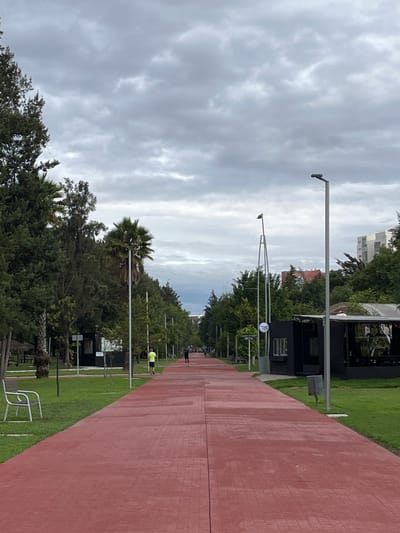 The image depicts a red pedestrian path in a park-like setting. The path is wide and paved with what appears to be stamped concrete, laid out in a brick pattern. It stretches into the distance, flanked by green grass on both sides. Numerous trees, including palm trees and coniferous trees, line the path, creating a canopy effect.
In the background, there are some buildings, including modern white multi-story structures and a building with a red roof. There are also some small black structures that appear to be kiosks or shaded seating areas. Streetlights are visible along the path, as are benches and trash receptacles.
A few individuals are present on the path. One person in a bright yellow shirt is walking away from the camera, and another person in darker clothing is further down the path, also walking away. The sky is overcast with gray clouds, suggesting a cloudy or potentially rainy day. The overall atmosphere is one of a public park or recreational area.