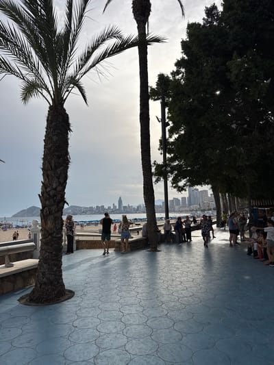 This media file depicts a scene in Benidorm, Spain, likely during the daytime given the bright sky. The image features a promenade with people walking and standing. Palm trees are prominent, with one large, textured trunk in the foreground and another in the middle ground. In the background, a cityscape with numerous tall buildings is visible along the coast, suggesting a densely populated urban area. The ground of the promenade is paved with a pattern of interlocking circles. The sky is overcast, indicating cloudy weather, and a soft, diffused light prevails. Several individuals are visible, dressed in casual summer attire, with some walking along the promenade and others gathered in small groups. The atmosphere appears relaxed and leisurely, consistent with a popular tourist destination. No visible text is present in the image.