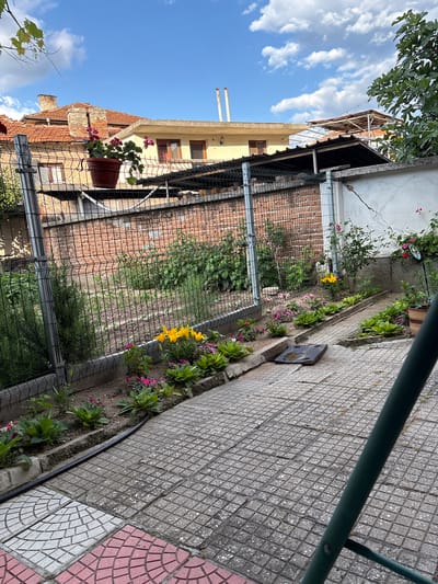 The image depicts a sunlit backyard scene in Panagyurishte, Bulgaria. The foreground features a paved patio area with a mix of square gray and pink patterned tiles. A dark green metal pole, likely part of a piece of outdoor furniture, is prominently visible in the lower right corner, angled away from the viewer. A black garden hose snakes along the edge of the patio and a flowerbed.
The flowerbed itself is bordered by a metal fence and contains various low-lying green plants and several clusters of small pink and yellow flowers. Beyond the fence, a brick wall is visible, behind which a garden with more greenery and cultivated rows of plants can be seen. In the background, several residential buildings with red tile roofs and light-colored walls are present. The sky above is a bright blue with scattered white clouds. The overall impression is of a well-maintained residential garden on a clear day.