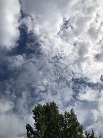 The image is a low-angle shot looking up at a sky filled with white and gray cumulus clouds against a deep blue sky. The lower portion of the image features the tops of several green trees, with the most prominent tree on the left side exhibiting dense foliage. The lighting suggests it is daytime, possibly late morning or early afternoon, with some sunlight filtering through the clouds. The scene is devoid of people or any urban structures, indicating an outdoor, potentially natural or park-like setting within Svirstroy, Russia.
