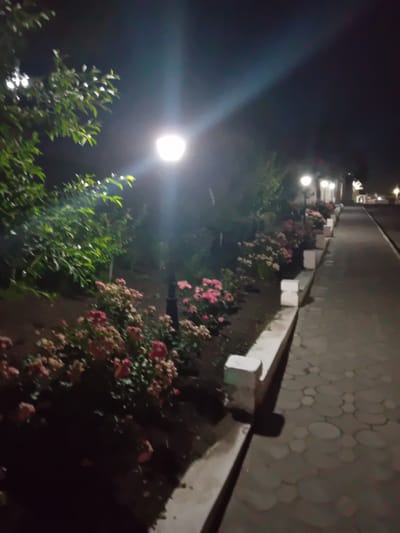 The image depicts a nighttime scene along a paved walkway in Korzhevo, Moldova. A lamppost illuminates a flowerbed filled with pink and red roses. The walkway is constructed of interlocking hexagonal pavers and is bordered by a low, white concrete planter box. Trees with green foliage are visible on the left side of the frame, also illuminated by the lamppost. The background is dark, with the faint glow of additional streetlights and buildings visible in the distance. No people are present in the image.