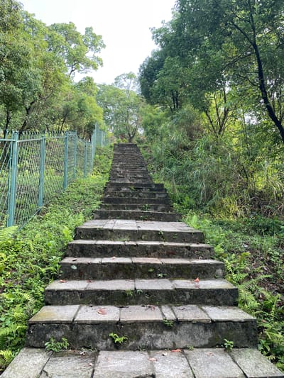 The image shows a long stone staircase leading uphill in a lush, green environment. The stairs are weathered, with vegetation growing on and around them. A green metal fence runs along the left side of the staircase, bordered by trees and dense foliage. The scene evokes a natural setting, likely a park or hiking trail in a mountainous region. The location is Pokhara, Nepal. There are no people visible in the image.