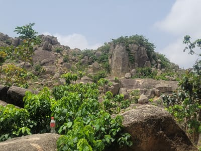 The image depicts a rocky landscape in Barakin Akawo, Nigeria, under a partly cloudy sky. The scene is dominated by large rocks and sparse vegetation, including bushes and small trees. An empty Coca-Cola bottle sits on one of the rocks in the foreground. No people are visible.