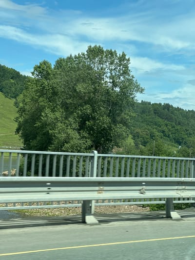 The image shows a view from a bridge over a body of water in Усмангали, Russia. In the foreground, a metal guardrail runs horizontally across the frame. Beyond the guardrail, lush green trees and rolling hills covered in vegetation dominate the landscape. The sky above is a bright blue with scattered white clouds. The scene appears to be a natural landscape, possibly a park or a scenic route, with no people visible in the frame. The overall impression is one of a serene and natural environment.