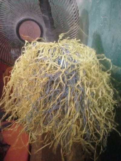 The scene depicts a static, close-up view of a tangled, textured mass composed of thin, shredded strips of material, predominantly light yellow with interspersed light blue strands. This mass occupies the central and foreground portions of the frame. In the background, to the upper left, a portion of a dark-colored oscillating fan's protective grille and central hub is visible. The fan's hub is reddish-brown. To the right of the central mass, a muted green wall is partially visible. The lighting is dim. No individuals, explicit actions, or interactions are discernible. The location of this scene is Magboro, Nigeria.