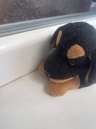 A close-up, high-angle shot focuses on a black and tan plush dog toy resting on a white ledge, likely a windowsill. The toy is positioned on its side, with its head facing towards the right of the frame. Its eyes are black, beady, and slightly reflective. The fur appears somewhat worn and dusty. To the left of the toy, a window pane with a patterned reflection is visible, partially obscured by a gray rubber seal. The white ledge appears slightly textured and speckled with dust. The lighting suggests it is daytime, likely indoors, with no specific weather cues. No text is visible in the image. The setting is likely domestic, given the presence of a toy and a window.