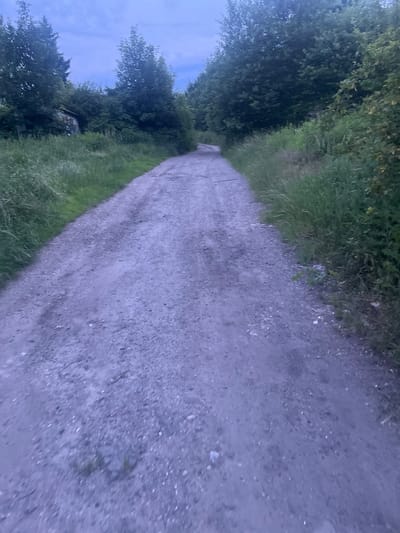 The image depicts an unpaved dirt road winding through a wooded area under a twilight sky. The road is composed of gravel and dirt, with some ruts and unevenness. Tall grass and various trees line both sides of the road, creating a natural and somewhat overgrown environment. On the left side of the road, in the distance, a small, dilapidated structure with graffiti is partially visible behind the foliage. The lighting suggests it is either early morning or late evening, with a soft, diffused light and a predominantly blue and grey color palette. There are no people or animals visible in the image. This scene is a rural or semi-rural path, likely a service road or a lesser-used track within a natural area.