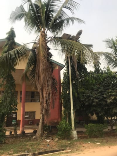 The image shows a palm tree in the foreground with a building behind it. The building has a red wall and a yellow wall. There is a window on the right side of the yellow wall. The building is surrounded by green bushes. The image was taken at the Michael Okpara University of Agriculture, Umudike, Nigeria, located at coordinates (latitude: 5.477, longitude: 7.539).
