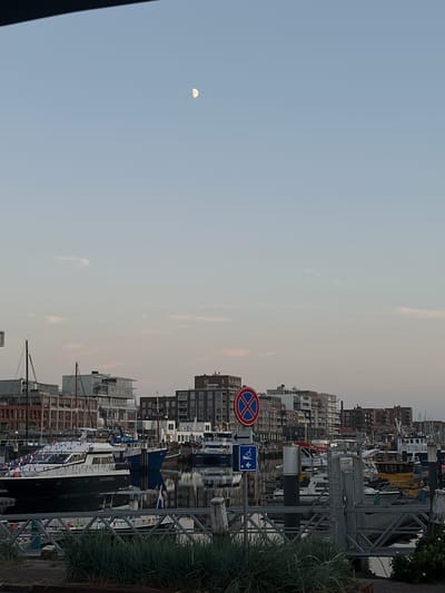 The image captures a serene view of a harbor in The Hague, Netherlands, at dusk. The sky is a soft gradient of blue and pale pink, with the moon visible in the upper left quadrant. Several boats are docked, ranging from sleek yachts adorned with festive pennants to more utilitarian fishing vessels. The architecture of the city is visible in the background, with a cluster of modern buildings forming a cityscape along the waterfront. Signs are present, including a no-parking sign and a blue sign indicating accessibility. The water reflects the boats and the sky, creating a tranquil atmosphere. The foreground shows a metal walkway and some lush green grass, suggesting a well-maintained public space.