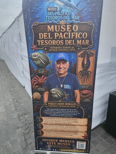 The image is a photograph of a large banner advertising the "Museo del Pacífico Tesoros del Mar" (Pacific Museum Treasures of the Sea) in Iquique, Tarapacá, Chile. The banner features a portrait of a smiling man wearing a blue cap and a t-shirt with the museum's logo. He is identified as Pablo Lagos Morales, the founder and creator of the museum. The banner also displays illustrations of various marine life, including a sunfish, a giant squid, a crab, a starfish, and a seashell. The text on the banner describes the museum's mission to rescue, preserve, and showcase marine species from Iquique. The background of the banner is a dark, underwater scene with schools of fish and bubbles. The banner is likely displayed outdoors, as indicated by the lighting and the presence of what appears to be a tent or temporary structure on the left side of the image and a speaker on the right. The ground in front of the banner is paved with cobblestones.