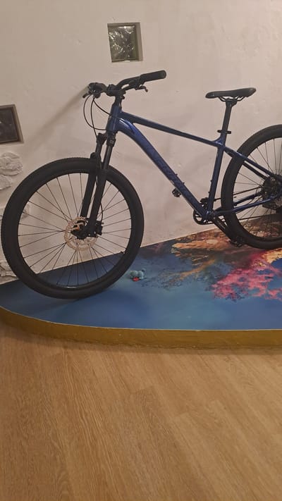 The image shows a blue mountain bike leaning against a white wall. The bike has a black seat, black handlebars, and black tires. The front tire has a disc brake. There is a small, blue stuffed animal with an orange base on the floor in front of the bike. The floor is covered with a colorful, abstract rug. The background includes a small, square window with a textured surface. The image appears to be taken indoors, possibly in a residential setting, and does not provide any specific information about the city of Hrodna, Belarus.