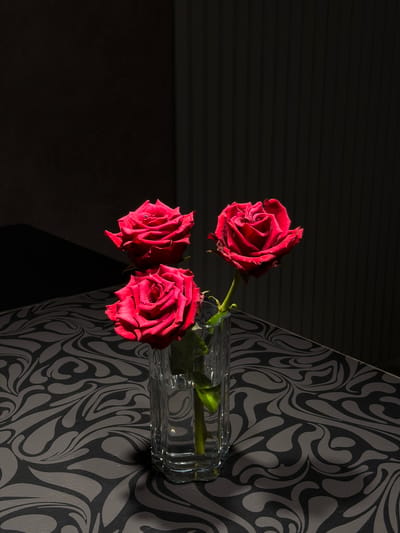Three vibrant red roses are arranged in a clear glass vase. The vase sits on a surface that is decorated with a black and grey swirling pattern. Behind the roses and vase, the background transitions from a dark, textured area on the left to the patterned surface on the right. The lighting suggests a dramatic scene, with strong shadows cast on the dark background, indicating a spotlight or a strong directional light source. The roses themselves are beautifully lit, highlighting their rich color and delicate petals. The overall mood is one of quiet elegance and natural beauty, with a touch of dramatic flair due to the lighting and the striking wallpaper pattern. No people are visible in the image, and no text is present. The setting appears to be indoors, likely a decorative arrangement in a home or studio. The time of day is suggested by the dramatic lighting, possibly late afternoon or evening when natural light sources are low and artificial lighting can create such strong contrasts.