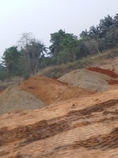 The image displays a construction or mining site. There are several piles of dirt and gravel. The ground is bare, and marked with tire tracks. In the background, there is a strip of trees, including palms, and the sky is overcast. The site appears to be carved into a hillside.