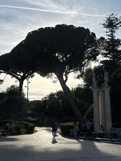 The image captures a vibrant outdoor scene, likely a public park or garden area in Catania, Italy, illuminated by bright daylight. The sky is a light blue with scattered wispy clouds and a prominent, straight airplane contrail stretching across it. Strong sunlight creates distinct, long shadows on the paved ground, indicating either morning or late afternoon.
A large, dark tree with dense foliage dominates the left side of the frame, its silhouette sharply contrasting with the bright sky. Its trunk leans gently to the right. On the right side, a classical-style monument features at least three tall, light-colored columns or pillars, each topped with a statue of a human figure. A white railing is visible behind this structure.
Several people are present, enjoying the outdoor setting. A small group is gathered near the columns, with one person in a light blue shirt clearly visible. Further down the sun-dappled paved path, another individual in dark clothing and carrying a backpack walks away from the viewer, their shadow extending ahead. In the foreground, a person is seen with a bicycle or scooter. The scene is completed with various bushes and smaller trees, contributing to the serene park ambiance. No discernible text is visible in the image.