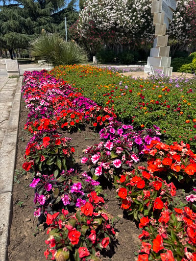The image depicts a vibrant flower bed in the city of Bar, Montenegro. The flower bed features a variety of colorful flowers, including red, pink, and orange blossoms, arranged in neat rows. In the background, lush green trees and a white flowering shrub provide a natural backdrop. A distinctive landmark, a modern sculpture made of stacked concrete blocks, stands tall amidst the foliage, with directional signs pointing to various global destinations. The ground is covered with dark soil, and a paved walkway runs alongside the flower bed, suggesting a public park or garden setting. The lighting suggests it is daytime, with sunlight casting shadows on the ground. There are no people visible in the image.