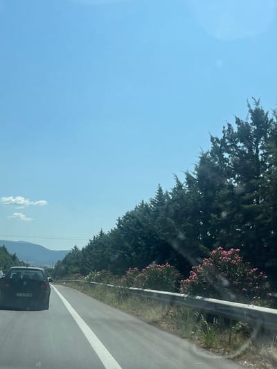 The image captures a view from a moving vehicle on a road in Krinides, Greece. The road has a white line dividing the lanes and is bordered by a metal guardrail. To the right of the road, there are lush green trees and vibrant pink flowers in bloom. In the distance, mountains can be seen under a clear blue sky with a few wispy clouds. A black Volkswagen car is visible on the road ahead, with its license plate reading "E 5176 HB". The overall scene suggests a sunny day in a scenic, semi-rural area.
