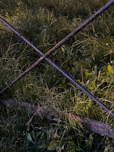 The image shows a close-up view of overgrown grass, with two dark, weathered metal bars crossing diagonally over the scene. The metal bars appear to be part of a fence or some other structure, possibly a gate. The grass is a mix of green and dried stalks, suggesting a natural, unkempt setting. There are also some small white flower-like objects scattered within the grass. The lighting suggests it is either dusk or dawn, as there are patches of both shadow and illuminated areas, creating a somewhat dramatic contrast. The overall mood is one of natural overgrowth and perhaps a sense of abandonment or neglect due to the weathered appearance of the metal. No people are visible. The location context is Sinyavino, Russia, which might imply a rural or semi-rural setting. There is no visible text in the image.