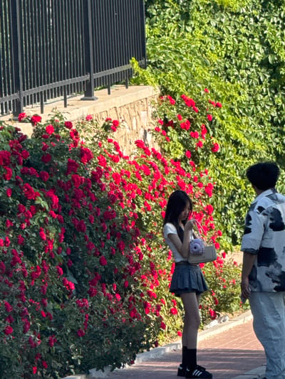 The image, possibly taken in Zhongtun, China, presents two people near a wall covered with red roses and green vegetation. One person, seen from the back, wears a white and black patterned shirt and light-colored pants. The second person, a young woman, is facing the flowers and holding a small camera or phone. She is wearing a white shirt, a dark skirt, black socks, and black shoes. A black metal fence is visible on the left. The ground appears to be paved, and sunlight is present.