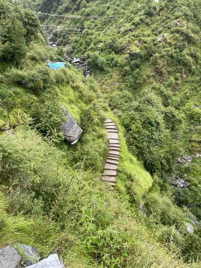 The image depicts a steep, lush green hillside in Bhagsu, India, characterized by dense vegetation and a winding stone staircase. The staircase, made of rough-hewn rectangular stone steps, ascends the incline, disappearing into the foliage. The surrounding environment is dominated by a variety of plants, including tall grasses, bushes, and trees, all appearing vibrant and well-watered. Large rocks are scattered across the hillside, some partially covered by vegetation. In the upper portion of the image, strings of colorful prayer flags are strung across the valley, suggesting a religious or cultural context. A small waterfall is visible further up the hillside, adding to the natural beauty of the scene. A bright blue tarp is draped over some bushes near the waterfall, potentially serving as a temporary shelter or covering. The overall impression is one of a natural, untamed landscape, possibly a hiking trail or a pilgrimage route.