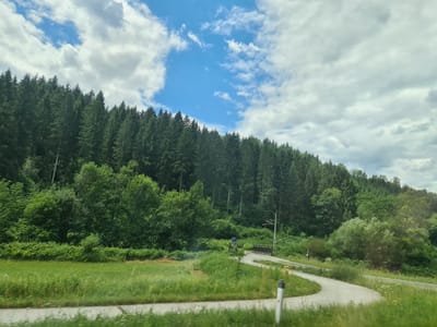 This image depicts a scenic view of a winding paved road passing through a lush green landscape with a dense forest on a hillside under a partly cloudy sky. The foreground shows a grassy field with some wildflowers. The road curves from the lower right towards the upper left of the frame. In the middle ground, there is a small wooden bridge over the road, and a blue signpost is visible. The forest is composed of tall evergreen trees. The sky is a mix of blue sky and white fluffy clouds. The scene is located in Friedlach, Austria, and appears to be a rural or suburban area, possibly a hiking trail or a scenic drive. There are no people visible in the image.