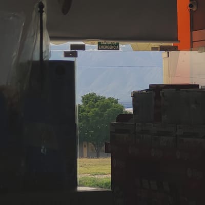 The image depicts an interior view looking outwards through a doorway or large window in a commercial or public building in San Fernando del Valle de Catamarca, Argentina.
**Interior Foreground:**
To the immediate left, a dark, reflective vertical surface, possibly a display panel or wall, occupies the left third of the frame. A faint vertical support pole, partially covered in translucent plastic sheeting, is visible within this dark area. To the right, the view is partially obstructed by multiple stacks of red-brown boxes, featuring the white "filgo" and "DEKAD" logos, indicating merchandise. In the upper right corner, a white dome-shaped security camera is mounted on an orange-colored vertical structure. Overhead, a grey ceiling or beam extends across the top, from which a green "SALIDA DE EMERGENCIA" (Emergency Exit) sign is suspended above the central opening.
**Exterior Midground:**
Through the central opening, an outdoor scene is visible. A patch of green grass and drier, lighter-colored vegetation covers the ground. A large, deciduous tree with dense green foliage stands prominently in the center of this outdoor space. Behind the tree, a light-colored, single-story building is partially visible.
**Distant Background:**
Beyond the immediate outdoor area, a range of large, blue-grey mountains rises against a pale sky, characteristic of the topography surrounding San Fernando del Valle de Catamarca.