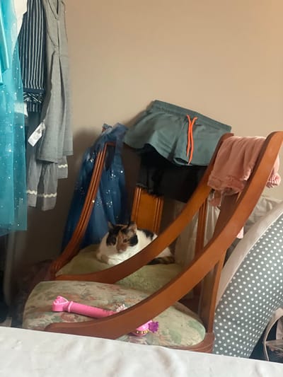 The image captures an indoor scene, possibly a bedroom or dressing area, filled with various objects. On the left, two blue and one grey garment hang from a rod, with the blue garments featuring a sparkly design. In the center, a calico cat is resting on a chair with a floral patterned cushion. The chair itself is made of wood with curved arms. Behind the chair, a pair of green shorts with orange drawstrings are draped, and a pink fabric is visible on the chair's armrest. To the right of the chair, a grey and white polka-dotted fabric is draped over an unseen object. In the foreground, a pink toy is lying on the cushion of the chair, and a purple accessory is beside it. The wall behind the objects is a neutral color. The image does not contain any information that could indicate its location within the city of Sagunto/Sagunt, Spain.