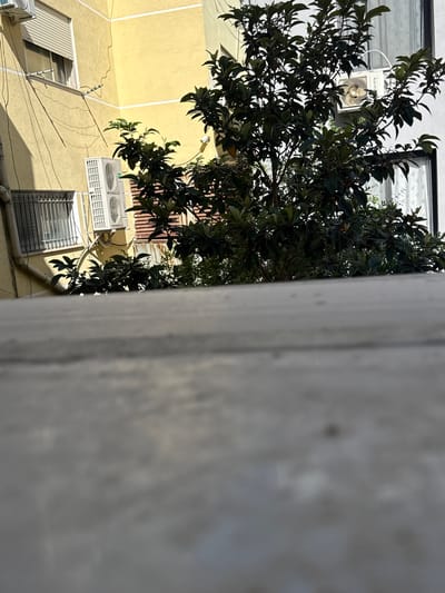 The image captures a narrow, outdoor urban scene, likely in Bashkia Durrës, Albania. In the foreground, a blurred, light grey concrete surface dominates the lower half of the frame, suggesting a walkway or railing. Behind this, a dark green leafy tree with visible fruit is partially obscuring the background buildings. To the left, a yellow building features a window with white blinds, an air conditioning unit mounted below it, and a metal grate on a lower window. Another air conditioning unit is visible on the building to the right, which has grey siding and a window with vertical blinds. The overall impression is one of residential architecture in a built-up area.