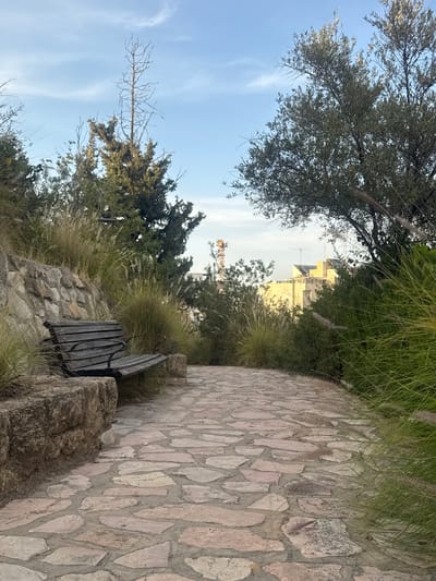 The image captures an outdoor scene, likely a park or elevated walkway in Ramat Gan, Israel. A stone-paved path, constructed from irregularly shaped, light-colored stones, leads from the lower right and curves gently towards the upper left.

To the left of the path, a dark wooden and metal park bench is positioned on a low stone wall or base, partially enveloped by tall, wispy grasses with feathery plumes, possibly Pampas grass. These grasses are prominent along the left edge of the path and in the mid-ground. Beyond the bench and grasses, a variety of trees populate the scene. A large tree with dense green foliage occupies the upper left quadrant, while a partially bare tree with thin, upward-reaching branches stands out in the middle left against the sky.

In the mid-ground and background, glimpses of urban development are visible through the trees and foliage. Parts of buildings, including one with yellow or beige walls and dark roofs, can be seen. A construction crane is also faintly discernible against the sky in the distance, indicating ongoing building activity nearby.

The sky is a clear, light blue with sparse, wispy white clouds, suggesting fair weather. The overall lighting is soft and diffused, characteristic of a pleasant daytime, possibly late afternoon or early morning. No people are visible, and no specific activity is depicted, leaving the scene tranquil and inviting for rest or quiet contemplation. There is no visible text in the image.