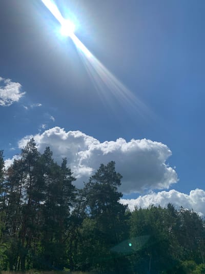 A bright sunbeam streams from the upper left corner of the frame, casting light across a clear blue sky. Below, large, fluffy white clouds drift lazily. The lower third of the image is dominated by the dark green canopy of a dense forest, with tall pine trees interspersed with other deciduous trees. The scene is suggestive of a natural area, possibly a park or woodland on the outskirts of Kharkiv, Ukraine, on a clear, sunny day.