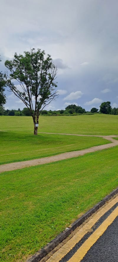 A lone tree stands in a vast, manicured green field, its bare branches silhouetted against a cloudy sky. The field is bisected by a winding dirt path. To the right of the field is a paved surface with double yellow lines, suggesting a roadside. The scene is a wide, open landscape, likely a park or a golf course, in Ireland. The weather appears overcast with patches of blue sky visible. The time of day is not explicitly indicated, but the lighting suggests it could be daytime, possibly afternoon. No people or specific activities are depicted. A small, unreadable sign is attached to the trunk of the tree. The overall mood is tranquil and somewhat solitary.