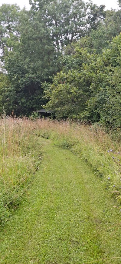 The image depicts a narrow, mown grassy path winding through a natural landscape. The path is flanked on either side by tall, dry grasses and wild vegetation. In the background, a dense line of mature trees forms a dark green canopy, partially obscuring a small, dark-colored wooden structure, possibly a shelter or gazebo. The sky above is overcast, contributing to a muted, natural lighting. The scene appears to be in a rural or park-like setting, consistent with the natural environment found in Vihi, Estonia. There are no people or animals visible in the image, and no apparent activities are taking place. The focus is on the path and the surrounding vegetation, creating a sense of natural tranquility.