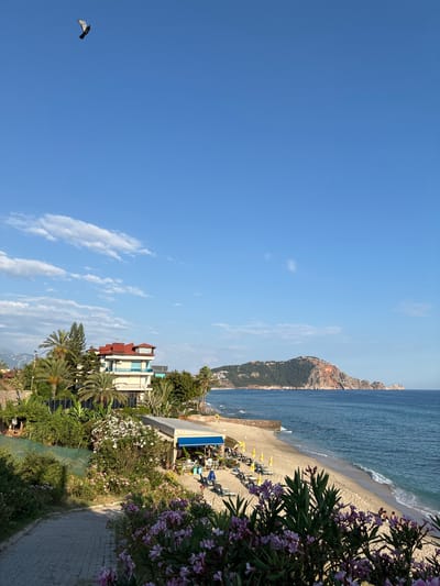 This is a photograph of a beach scene in Alanya, Turkey, likely taken from a higher vantage point. In the foreground, a paved pathway curves to the left, bordered by lush green foliage and vibrant pink and purple flowers. To the right of the pathway, a sandy beach stretches out, dotted with yellow umbrellas and lounge chairs. A small open-air cafe with a blue awning is situated on the beach.
Further down the beach, the blue Mediterranean Sea laps the shore, with a few people visible swimming and wading in the water. In the distance, a large, tree-covered peninsula juts out into the sea, its rocky cliffs catching the sunlight. A building with a red-tiled roof and blue-tinted windows is perched on a hillside overlooking the beach and the sea. The sky above is a clear, bright blue with a few wispy white clouds. A single bird is captured in flight in the upper left corner of the frame. The overall impression is one of a serene and sunny coastal resort.