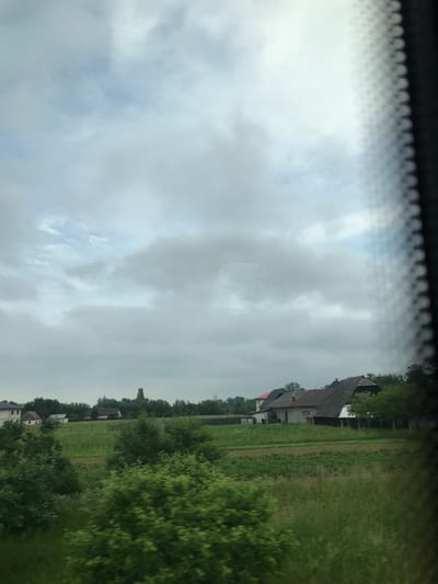 The image captures a rural landscape near Vicovu de Sus, Romania, observed from inside a moving vehicle on an overcast day. The upper half of the frame consists primarily of a dense, grey cloud cover, with occasional lighter patches suggesting breaks in the clouds.

The lower half of the scene is dominated by green fields and abundant vegetation. Extensive green fields, some displaying rows indicative of cultivation, stretch across the midground. Numerous trees and bushes, vibrant green, are present throughout the landscape, forming dense clusters and lines along the horizon. On the right side of the midground, a prominent house with a dark, multi-pitched, traditional-style roof is visible, surrounded by trees. To its left, other houses are partially obscured by foliage, including one with a discernible red roof section. On the far left, a white, multi-story house stands amidst greenery.

The immediate foreground exhibits significant motion blur, particularly affecting the green foliage, consistent with a capture from a moving vantage point. A distinct vertical strip with a repeating, blurred mesh pattern occupies the far right edge of the image, indicating the presence of a window screen or sunshade, reinforcing that the photograph was taken from inside a vehicle looking out. No people or animals are visible within the frame.