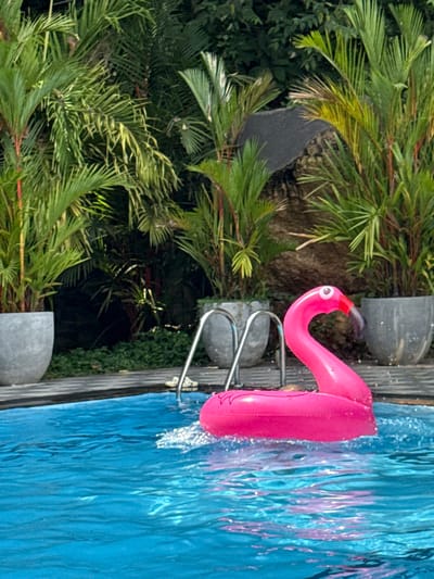 A bright pink flamingo float is perched partially in a pool with clear blue water. A metal pool ladder extends down into the water near the flamingo. Lush green tropical foliage surrounds the pool area, with palm fronds visible. Two gray planters are positioned along the edge of the pool, adding a decorative touch to the landscape.
