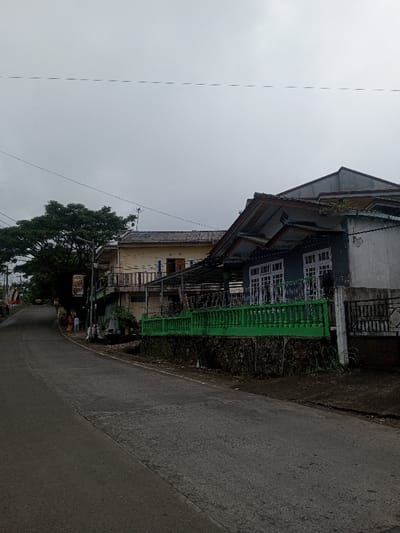This image depicts an overcast daytime scene on a paved road in Pacet, Indonesia. The asphalt or concrete road curves gently to the left, receding into the distance where two faint vehicles are visible. On the right side of the road, an elevated, single-story building with a grey facade and white-framed windows features a prominent bright green balustrade situated above a dark, textured retaining wall. To the right of this building is a dark metal gate. Behind the foreground building, a two-story light yellow structure with a dark roof and a balcony supported by a dark railing is visible, with a television antenna mounted on its roof. On the left side of the road, a large tree with dense green foliage stands behind a streetlamp, which has a vertical banner attached. Two indistinct human figures are seen walking away from the camera on the left side of the road, near the tree and streetlamp. Overhead, multiple thin, dark electrical wires stretch across the light grey, cloudy sky. A small, white, possibly bird-like object rests on the curb adjacent to the green balustrade. The lighting is diffuse, consistent with an overcast sky.