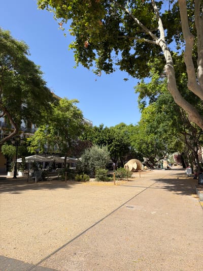 This is a medium-shot, outdoor, eye-level photograph taken in Eivissa, Spain. The image depicts a sunny day with clear blue skies. The foreground features a textured, light-colored pathway, possibly made of gravel or aggregate, with scattered yellow leaves. Tall trees with lush green foliage line the left side of the path, their branches casting shadows. In the background, a building with white walls and windows is visible, partially obscured by the trees. Several outdoor seating areas with white umbrellas and tables are set up along the right side of the pathway, suggesting a cafe or restaurant. A uniquely shaped, light-colored sculpture is positioned near the seating area. The overall atmosphere is tranquil and inviting, hinting at a pleasant day for outdoor leisure. There is no visible text in the image.