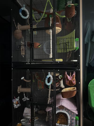 The image shows a large, multi-level cage for small animals, likely rats or ferrets, set against a dark background. The cage is filled with various toys and accessories, including ropes, perches, hammocks, and food dishes. Some of the items appear to be made of fabric, wood, and plastic. There are no people or animals visible in the image. The scene is indoors, and the lighting suggests it may be nighttime or a dimly lit room. There is no visible indication of the city of Bangkok, Thailand or any specific location.