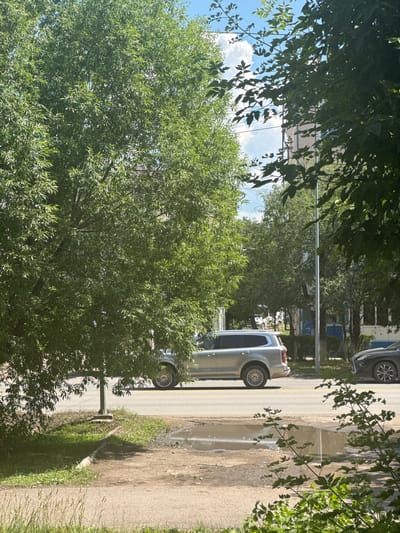 The image depicts a street scene in Kokshetau, Kazakhstan, on a sunny day. A silver SUV is parked on the right side of the road, facing left, with its rear bumper towards the viewer. Adjacent to it, a dark sedan is visible from the front left quarter panel. The road appears wet in places, with a puddle reflecting the sky and surrounding trees.
Large trees with lush green foliage dominate the foreground and midground, partially obscuring buildings and the sky. One tree, on the left, is particularly dense and leafy, with its branches extending across a significant portion of the frame. Another tree, to the right, has thinner leaves and branches, with a light pole positioned behind it. The background reveals a building with several windows and architectural details, suggesting an urban or suburban environment. The sky is blue with scattered white clouds. The overall impression is a tranquil, everyday street view under clear skies, with signs of recent rain.