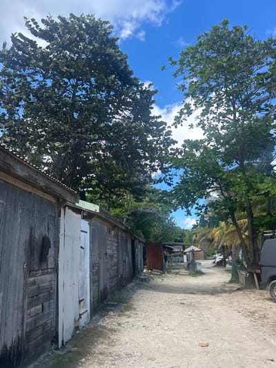 The image depicts a scene in Sainte-Anne, France. A weathered, wooden structure with a corrugated metal roof sits alongside a dirt path. Trees with dense foliage partially obscure a blue sky with scattered clouds. In the background, other structures and vegetation are visible, suggesting a populated area. A portion of a vehicle is visible along the path.