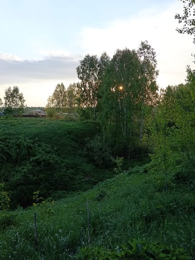 The image depicts a natural scene in Красный Маяк, Russia, characterized by a grassy hill descending into a verdant hollow. Tall grasses and various plants cover the foreground slope. A cluster of birch trees with slender white trunks occupies the middle ground, their foliage partially obscuring the sun, which creates a burst of light. Beyond the trees, a field leads to a distant house with a reddish roof. The sky above is a mix of light blue and soft white clouds, suggesting either early morning or late afternoon. There are no people visible in the image.