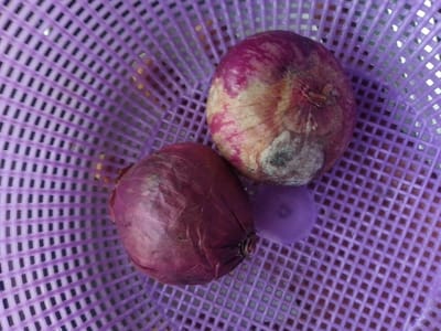 The image shows two red onions resting in a purple woven basket. The basket has a grid pattern of square holes. One onion is larger and has a mix of reddish-purple and lighter, almost white, skin with some greyish, dry spots. The second onion is smaller and is a deep reddish-purple color. A third, out-of-focus, purplish object is partially visible in the background. The lighting suggests an indoor setting or overcast conditions, as there are no harsh shadows. The focus is on the onions and the basket, with the background being blurred. The image is a close-up shot, highlighting the textures and colors of the onions and the basket. There is no visible text. The location context is Kuru Karama, Nigeria.