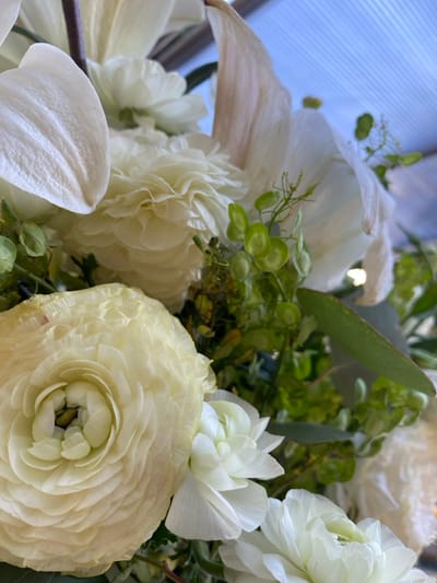 A close-up captures an elegant arrangement of white flowers. Several prominent ranunculus blooms showcase their layered petals, ranging from a pale yellow to pure white. Interspersed among the ranunculus are other white flowers and verdant greenery, including leafy stems with small, round seedpods. The backdrop is blurred, suggesting a window with vertical panes. The overall effect is a soft, natural composition.
