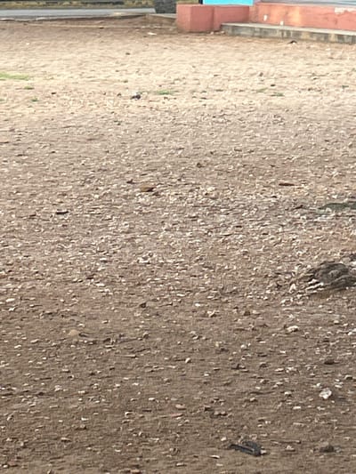 The image shows a ground surface covered with small stones and dirt. In the background, there is a concrete structure with orange and blue elements, possibly part of a building or public space in Santa Ana, Venezuela. Some patches of dry grass are visible. The overall scene appears to be an outdoor area, likely a street or a vacant lot, characterized by rough terrain and sparse vegetation.